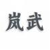 岚武